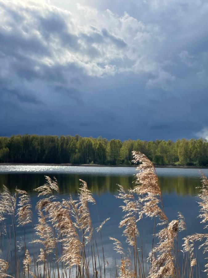 Ambercoast Villa Jūrkalne Eksteriør billede